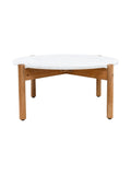 Terrazzo Teak Coffee Table in Sea Shell