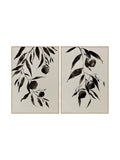 Pomegranate Wall Art Set of 2 in Ink