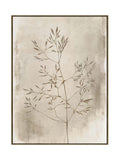 Stems & Leaves Set of 2 Wall Art in Crema